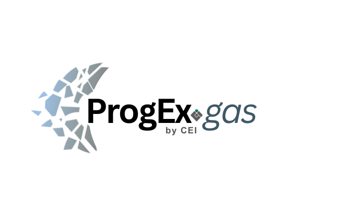 Disponibile la nuova versione del software ProgExGas by CEI
