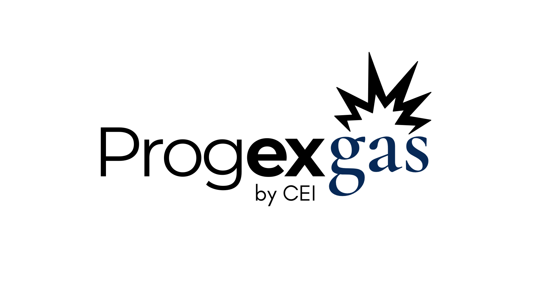 Disponibile la nuova versione del software ProjExGas by CEI